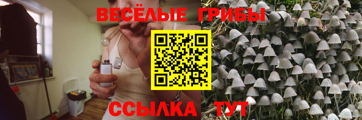 Галлюциногенные грибы мухоморы Лабытнанги